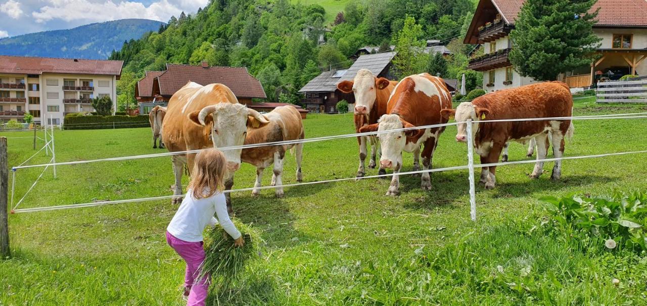 Ferienhaus Michael Bad Kleinkirchheim Ngoại thất bức ảnh